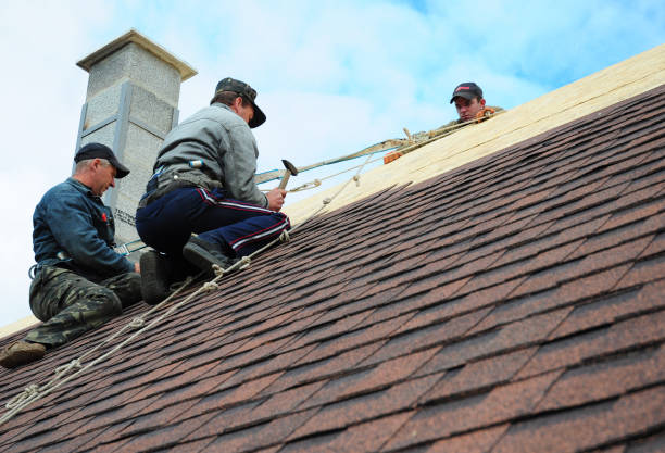 Best Metal Roofing Contractor  in Taft Mosswood, CA